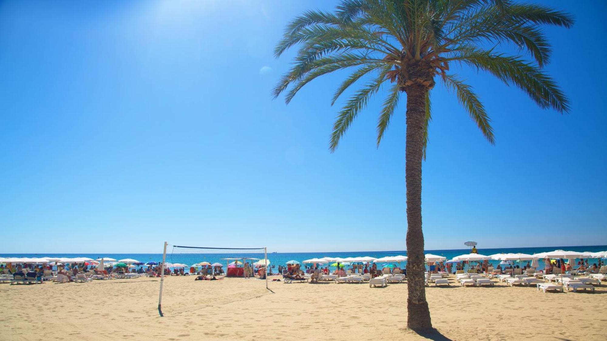 Hb Apartments - Mercado Central - Rambla Alicante - La Suite De La Playa المظهر الخارجي الصورة